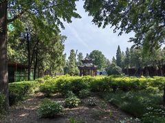 -洛阳白马寺