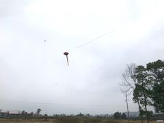 -蜀绣公园