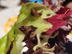 -MOSSO德国餐厅·音乐酒吧(环宇荟店)