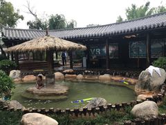 -大理地热国