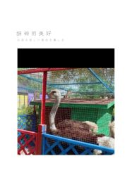 -萌宠亲子动物乐园(槐房万达店)