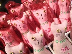 -猫咪博物馆(顶澳仔猫街店)