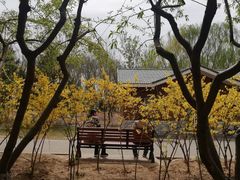 -大兴滨河森林公园