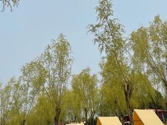 -青龙湖公园