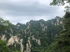 -王顺山国家森林公园