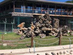 -横道河子东北虎林园