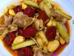 辣椒炒鱼肚-hallch好吃餐厅(奥体中心店)