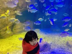 -洛阳龙门海洋馆