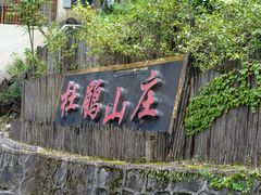 -大围山国家森林公园