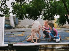 -中环半山扶手电梯