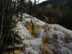 -黄龙山原始森林景区