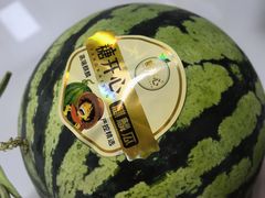 -东方鼎信农副产品交易中心