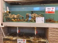 水产区-万龙洲海鲜(大兴绿地缤纷城店)