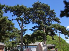 -妙峰山风景名胜区