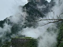-张家界天门山国家森林公园