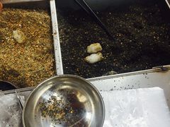 -叶氏麻糍(鼓浪屿店)