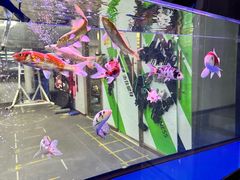 -迈劲健身专业私教(朝青汇店)