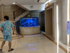 -碧中海汤泉汗蒸酒店