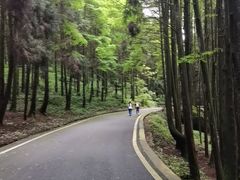 -山王坪喀斯特国家生态公园
