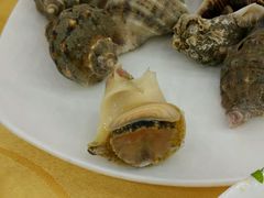 -海岛渔村大酒店(云霄路店)