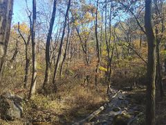 -玉渡山自然风景区