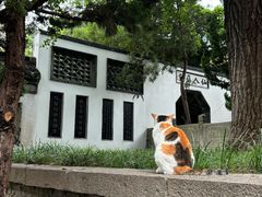 -大明寺素斋