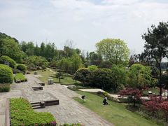 -铁山坪森林公园