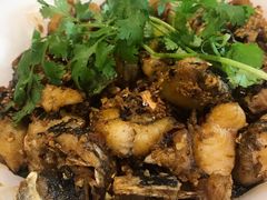 -石头咕(葵蓬店)