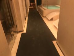 -深圳国际会展中心希尔顿酒店(前海华发冰雪世界店)