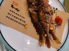 -高老庄新家宴(北斗星广场店)