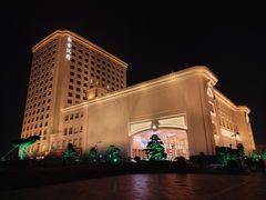 -上海白金汉爵大酒店(大零号湾国际会议中心店)