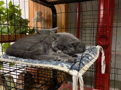 -么么咖啡(燕郊店)