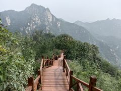 -大岭沟猕猴桃谷风景区