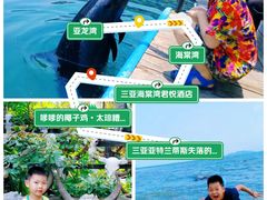 -三亚亚特兰蒂斯度假区