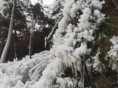 -十三陵雪世界滑雪场