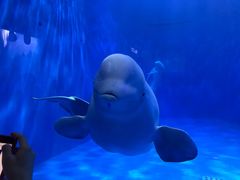 -多彩贵州城极地海洋世界