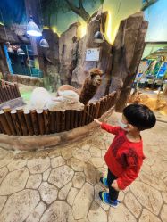 -宝燕乐园(闵行旗舰店)