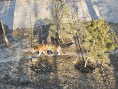 -青藏高原野生动物园
