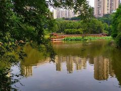 -龙头寺公园