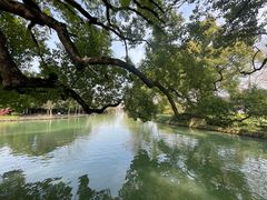 -西溪国家湿地公园