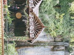-西双版纳原始森林公园