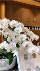-贝黎诗SPA