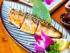 -石葵(锦业时代店)