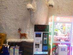 -Mr·Kuma酷么先生雪之乐园