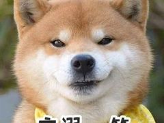 -川府沸腾鱼