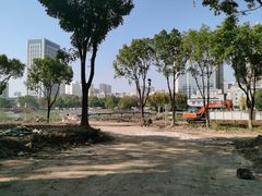 -后襄河公园