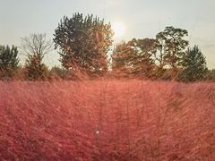 -汉长安城未央宫国家考古遗址公园