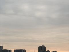 -湖影中餐厅·南京金茂威斯汀大酒店
