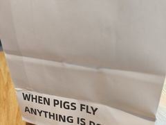 -WHEN PIGS FLY当猪飞