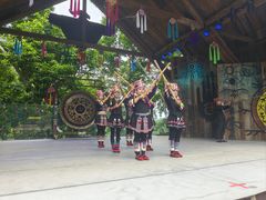 -西双版纳原始森林公园